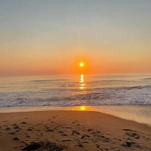 Meet your Posher, Bryan